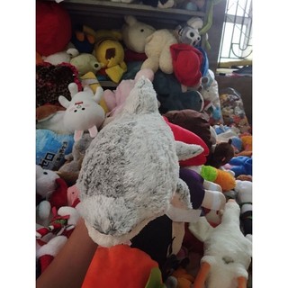 gấu bông hình cá size 50-60cm
