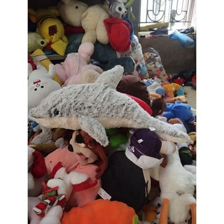 gấu bông hình cá size 50-60cm