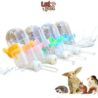 Bình nước cho hamster, bọ ú, nhím, sóc, bình bi cho thú cưng nhỏ uống nước - lutpet