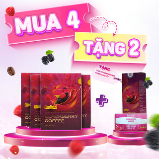 Combo 4 Hộp Cafe Giảm Cân Mâm Xôi Raspberry Chính Hãng Max Eagle Tặng  hộp 7gói