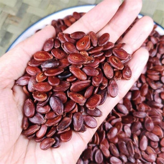 500g hạt dưa rang mộc chín loại 1