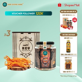 Combo 3 Đông Trùng Hạ Thảo Khô Giải độc gan Tăng đề kháng Kim Cương Vàng 10g - Mua 3 tặng 1