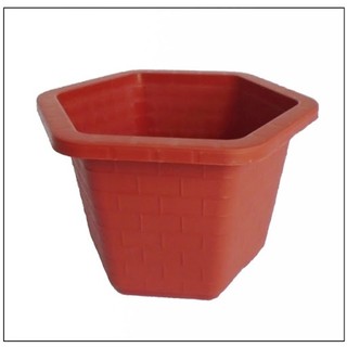 Chậu lục giác FA