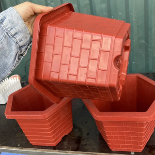 Chậu lục giác FA