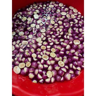 hủ 800gr Cà Tím Muối Sổi(Hỏa Tốc TP HCM)