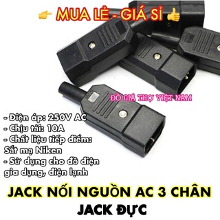 Đầu jack cắm nguồn, phích cắm nối nguồn ac 3 chân 10a 250v