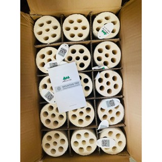 Sứ củ sen Mountain Tree thế hệ II size XL 25x8cm