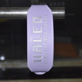 Đai Lưng Tập Gym . Đai Bảo Vệ Lưng Có Đệm Valeo Logo Thêu