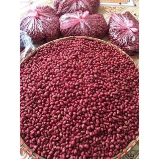 1kg da đỏ- giống trồng 6 tháng