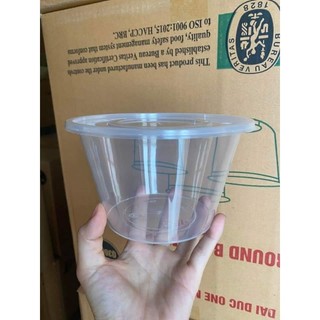 sét 100 tô nhựa pp nguyên sinh hàng dày đẹp