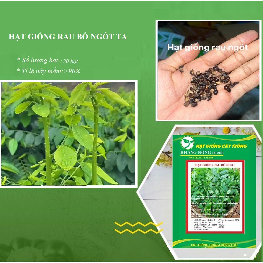 Hạt giống rau ngót - 1 gói 1gram. - DC