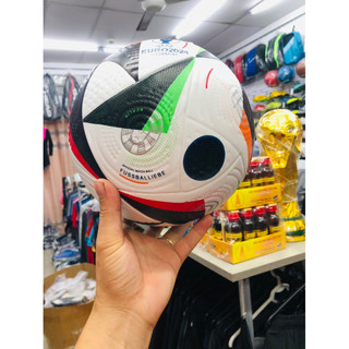 Bóng đá Euro 2024 (bóng đúc)