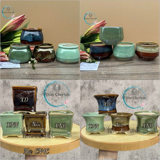 Chậu trồng sen đá, cây cảnh mini bonsai