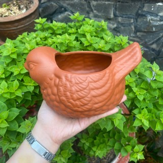 Chậu đất nung - Chậu trồng sen đá, xương rồng - Chậu Chim sẻ Miệng 10cm Cao 10cm