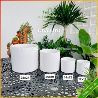  Chậu giả sứ hình trụ tròn chậu nhựa trồng cây để bàn trang trí sân vườn ban công văn phòng lớp học 