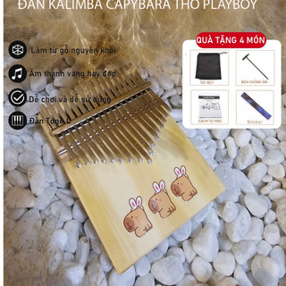 Đàn kalimba gỗ giá rẻ Daisy Kalimba TỔNG HỢP gỗ mahogany cao cấp K17-DS
