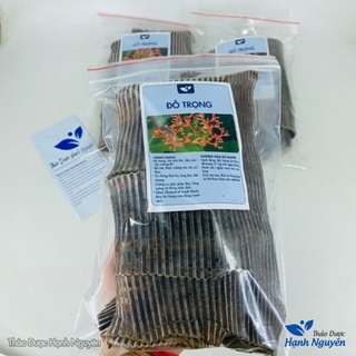 Đỗ trọng bắc khô 500g, miếng to, đẹp, hỗ trợ bổ can thận, mạnh gân cốt, giảm đau xương khớp