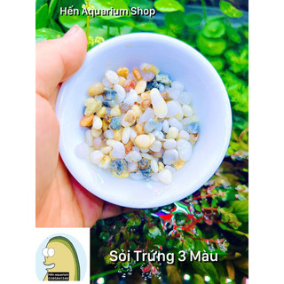 Sỏi trứng 3 màu trang trí bể cá cảnh thuỷ sinh