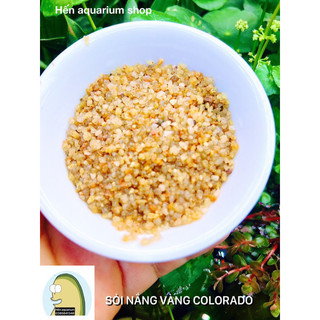 Sỏi nắng vàng trang trí bể cá cảnh thuỷ sinh