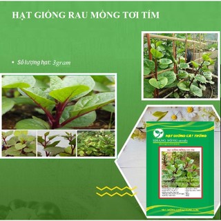 Hạt giống rau mồng tơi tím 1 gói 2.5gram - DC
