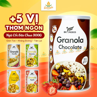 [FULL 5 VỊ] Ngũ Cốc Granola Ăn Sáng Ít Calo Mix Sữa Chua Sấy Khô Siêu Ngon Befresco 300G Hạt Ngon