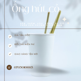  Thùng ống hút cỏ bàng dài 15 cm Eco Friendly Việt Nam  Giá gốc từ công ty phù hợp kinh doanh  