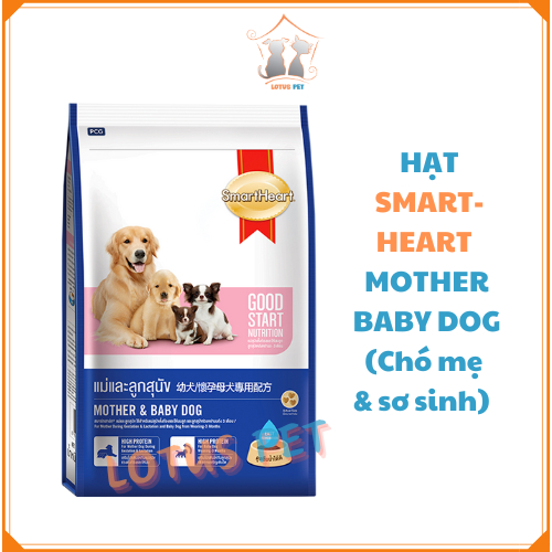 Smartheart Mother and Baby Dog - Thức ăn hạt dành cho chó mang thai và sơ sinh 1,3kg và 2,6kg