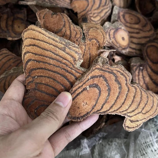 100g cây cỏ máu hàng rừng già