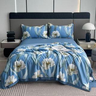 Bộ ga gối chăn lụa cotton 40s chăn chần bông 2mx2m2
