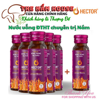 Nước nấm đông trùng hạ thảo hector collagen plus