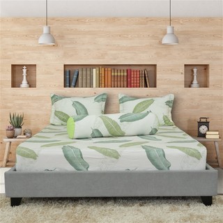 Bộ drap gối cotton hoa thắng lợi mẫu b - chính hãng
