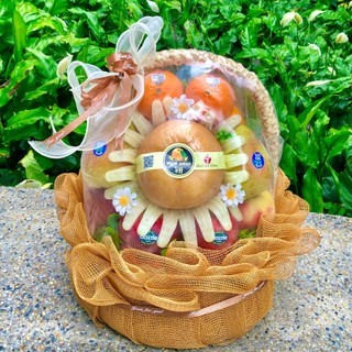 Giỏ Quà Tặng Trái Cây Nhập Khẩu Cao Cấp Sài Gòn ~ 3-4kg đảm bảo hàng loại 1, trái cây tươi ngon