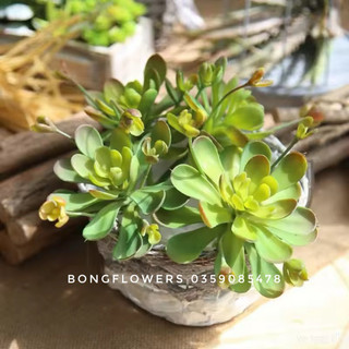 Hoa sen đá giả trang trí decor