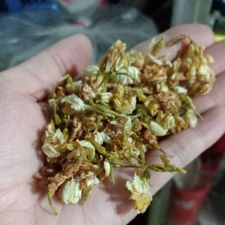 Trà hoa nhài 500gr nguyên bông UỐNG TRÀ RẤT THƠM