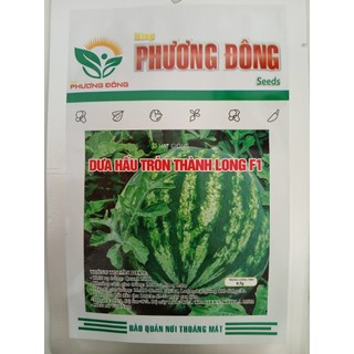 Hạt giống dưa hấu tròn thành long f1 - gói 0.5 gram
