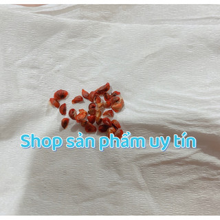 bồ cu vẽ chuẩn giống (cây giống nhanh có trái)