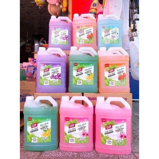 Nước lau sàn Gift 3,8kg sạch thơm mát nhà đuổi côn trùng