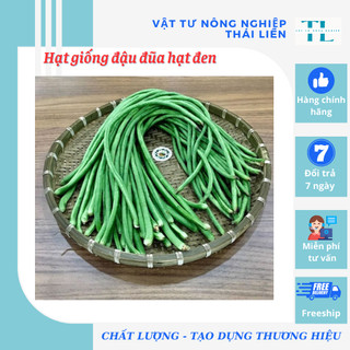 Hạt giống đậu đũa hạt đen thuận điền - giống tốt bội thu
