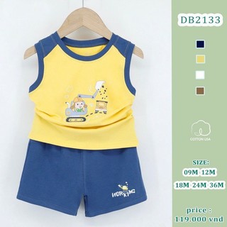 Bộ quần áo ba lỗ bé trai cotton cho bé 9-24kg