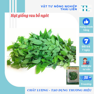 Hạt giống bồ ngót rau bồ ngót dễ trồng năng xuất cao - giống tốt bộ thu