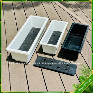 Chậu nhựa trồng cây chữ nhật, thông minh kèm đế lót, chậu trồng cây, hoa, máng trồng rau, ban công, sân vườn