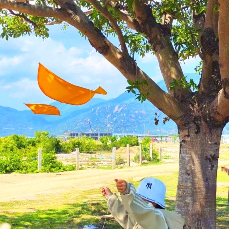 Diều sáo đuôi cá làm từ cap quang bay siêu đầm