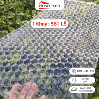 Khay gieo mạ ném 561 tế bào nhựa dẻo tái sử dụng cấy lúa năng suất cao chống sâu bệnh
