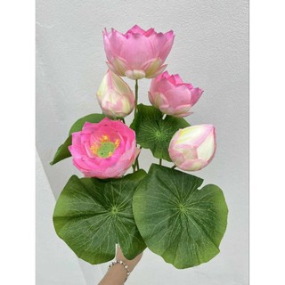Chùm hoa sen cung đình cao cấp
