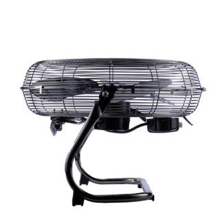 Quạt sàn Tiross TS954 (Đen)