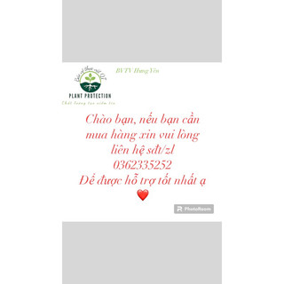 Chai keo xịt bẫy ruồi vàng - giá tốt nhất