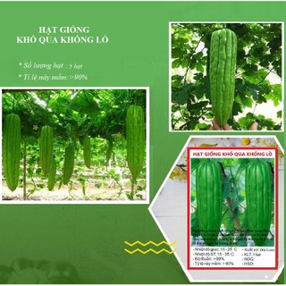 Hạt giống khổ qua khổng lồ (mướp đắng) Thái Lan - Gói 5 hạt