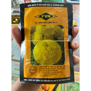 Hạt giống hoa Vạn Thọ Cao Lỡ, Cổ Lùn, Bông To Vàng chanh HG 106 1gr