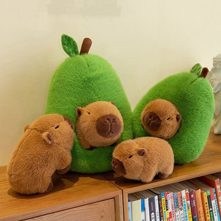 Gấu Bông Capybara trong trái bơ cực dễ thương