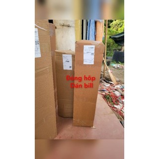 cây Chè Xanh giống [COMBO 4 cây] -cây giống xanh